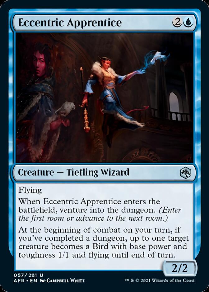 Eccentric Apprentice [Dungeons & Dragons: Adventures in the Forgotten Realms] | Dragon's Lair Comics and Fantasy Houston TX
