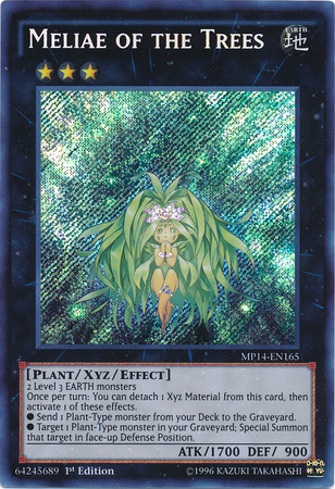 Meliae of the Trees [MP14-EN165] Secret Rare | Dragon's Lair Comics and Fantasy Houston TX