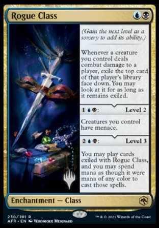 Rogue Class (Promo Pack) [Dungeons & Dragons: Adventures in the Forgotten Realms Promos] | Dragon's Lair Comics and Fantasy Houston TX