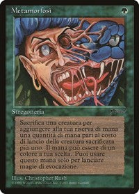 Metamorphosis (Italian) - "Metamorfosi" [Renaissance] | Dragon's Lair Comics and Fantasy Houston TX