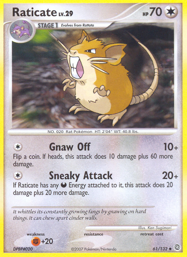 Raticate (61/132) [Diamond & Pearl: Secret Wonders] | Dragon's Lair Comics and Fantasy Houston TX