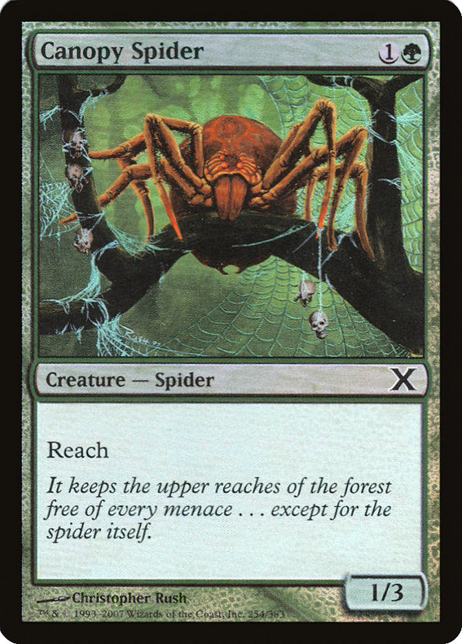 Canopy Spider (Premium Foil) [Tenth Edition] | Dragon's Lair Comics and Fantasy Houston TX