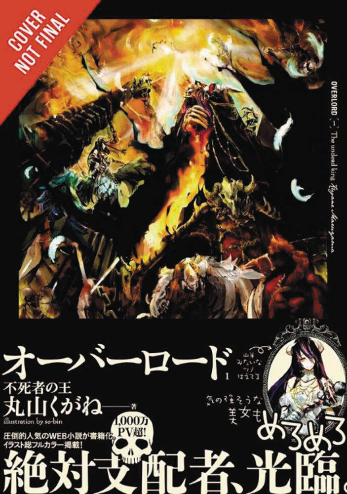 OVERLORD LIGHT NOVEL HC VOL 1 | Dragon's Lair Comics and Fantasy Houston TX