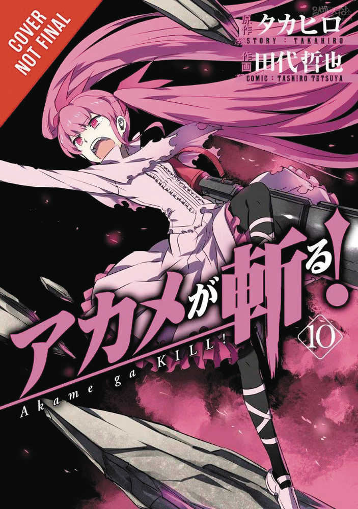 Akame Ga Kill Volume 10 | Dragon's Lair Comics and Fantasy Houston TX