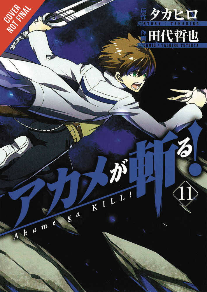 Akame Ga Kill Volume 11 | Dragon's Lair Comics and Fantasy Houston TX