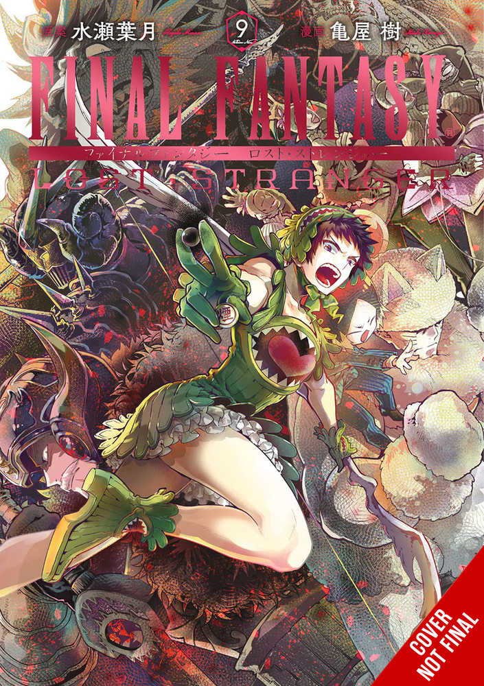 Final Fantasy Lost Stranger Volume 09 | Dragon's Lair Comics and Fantasy Houston TX