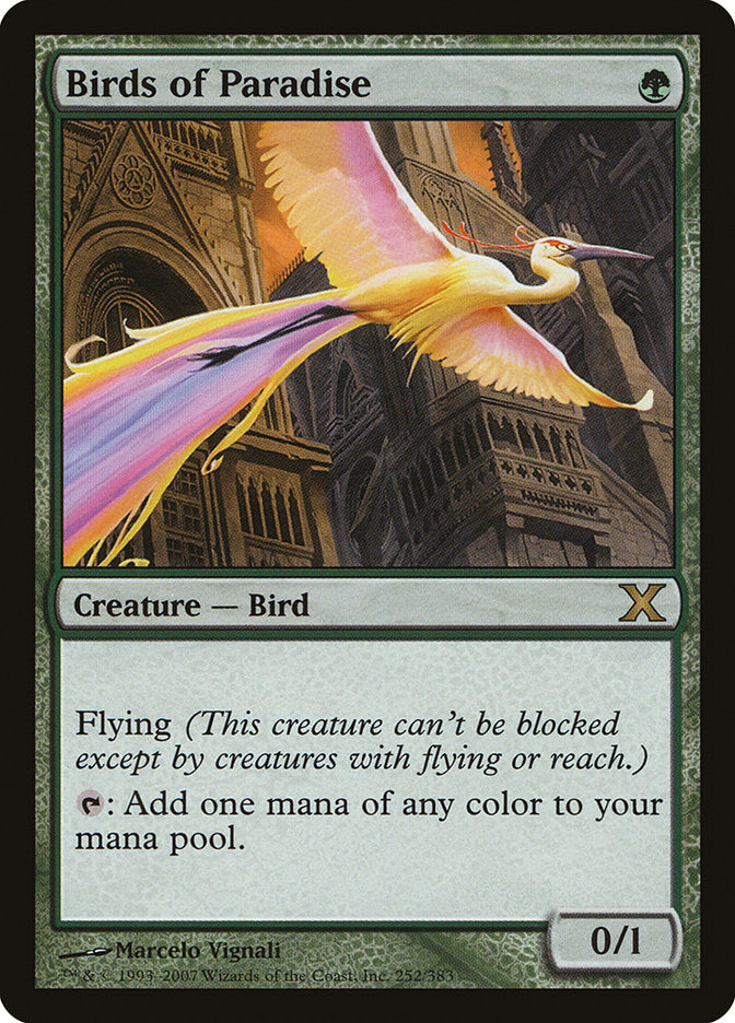 Birds of Paradise [Tenth Edition] | Dragon's Lair Comics and Fantasy Houston TX