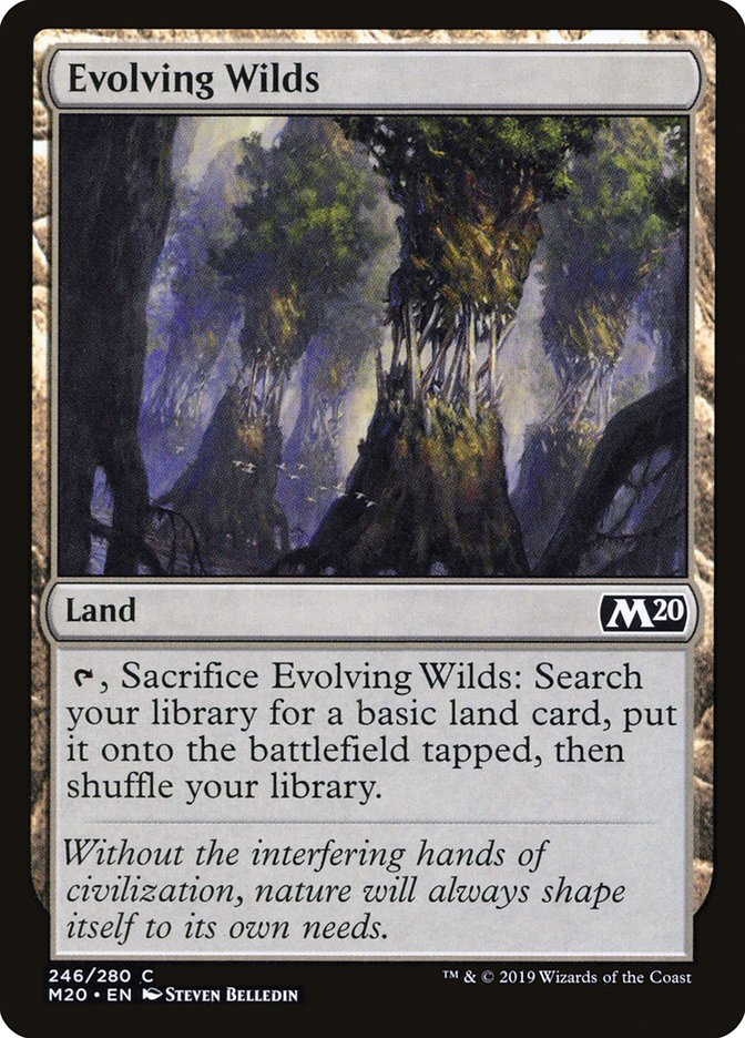 Evolving Wilds [Core Set 2020] | Dragon's Lair Comics and Fantasy Houston TX