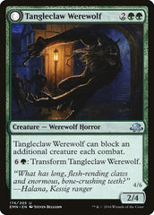 Tangleclaw Werewolf // Fibrous Entangler [Eldritch Moon] | Dragon's Lair Comics and Fantasy Houston TX