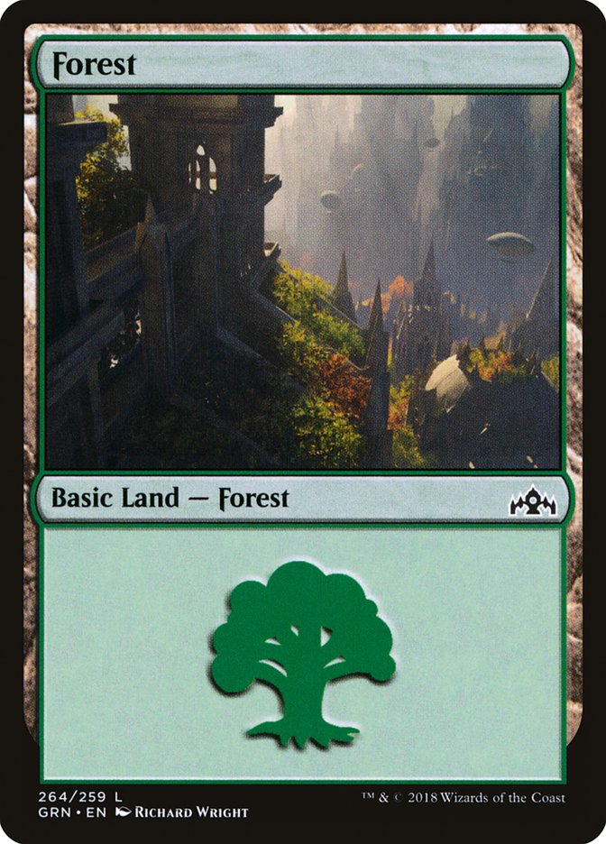 Forest (264) [Guilds of Ravnica] | Dragon's Lair Comics and Fantasy Houston TX