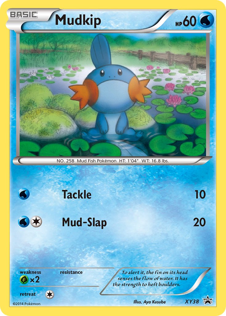 Mudkip (XY38) [XY: Black Star Promos] | Dragon's Lair Comics and Fantasy Houston TX