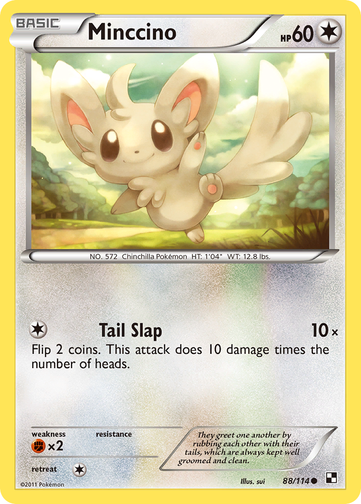 Minccino (88/114) [Black & White: Base Set] | Dragon's Lair Comics and Fantasy Houston TX