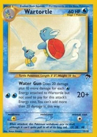 Wartortle | Odin's Place