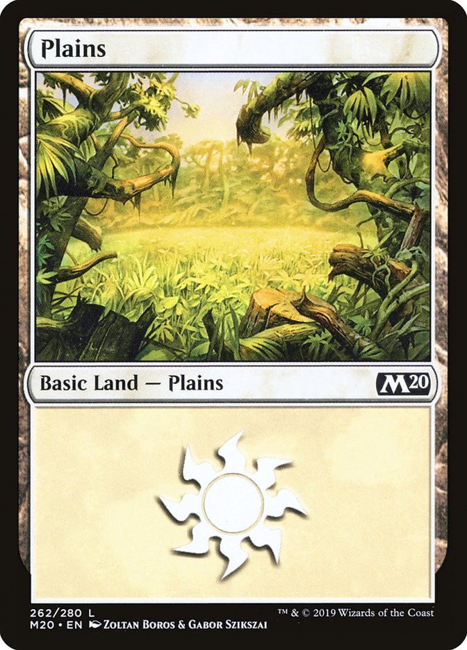Plains (262) [Core Set 2020] | Dragon's Lair Comics and Fantasy Houston TX