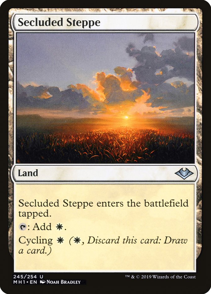 Secluded Steppe [Modern Horizons] | Dragon's Lair Comics and Fantasy Houston TX