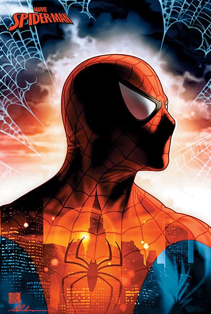 Poster: Spiderman Protector of the City | Odin's Place