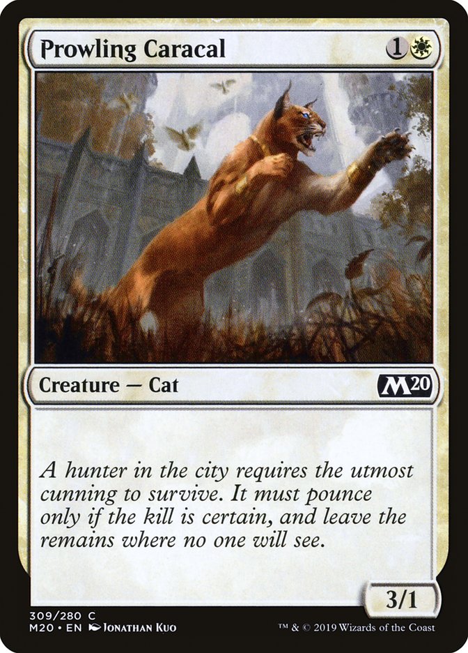 Prowling Caracal [Core Set 2020] | Dragon's Lair Comics and Fantasy Houston TX