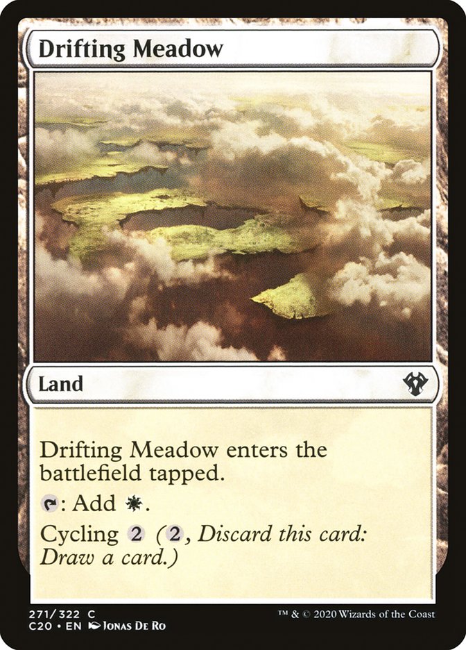 Drifting Meadow [Commander 2020] | Dragon's Lair Comics and Fantasy Houston TX