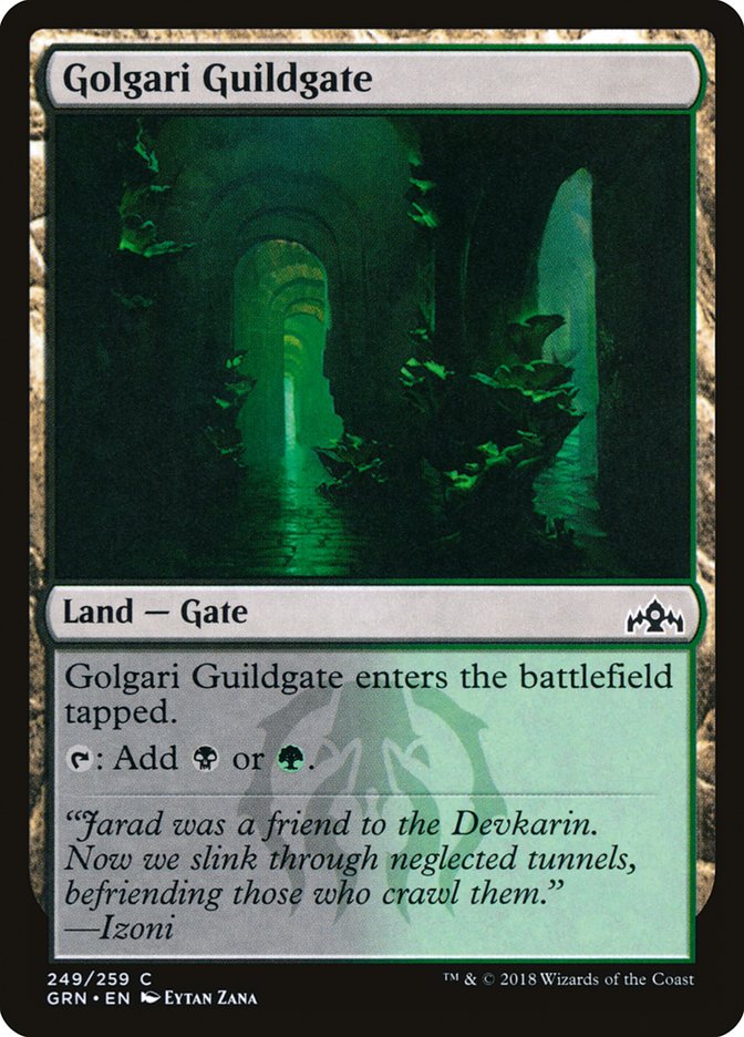 Golgari Guildgate (249/259) [Guilds of Ravnica] | Dragon's Lair Comics and Fantasy Houston TX