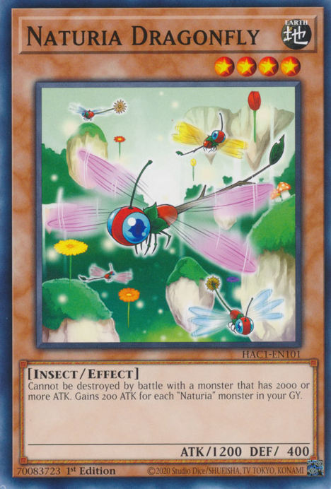 Naturia Dragonfly [HAC1-EN101] Common | Dragon's Lair Comics and Fantasy Houston TX
