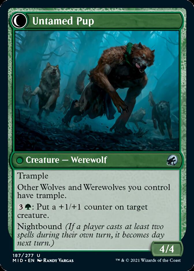 Hound Tamer // Untamed Pup [Innistrad: Midnight Hunt] | Dragon's Lair Comics and Fantasy Houston TX