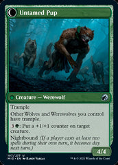 Hound Tamer // Untamed Pup [Innistrad: Midnight Hunt] | Dragon's Lair Comics and Fantasy Houston TX