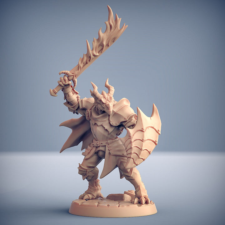 Dragon's Lair Printed Mini: The Dragonguard Set | Odin's Place