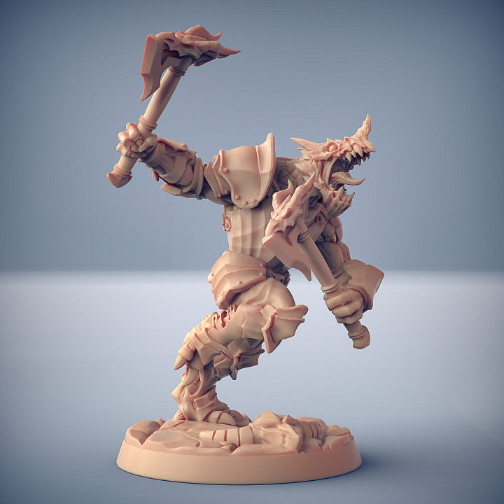 Dragon's Lair Printed Mini: The Dragonguard Set | Odin's Place