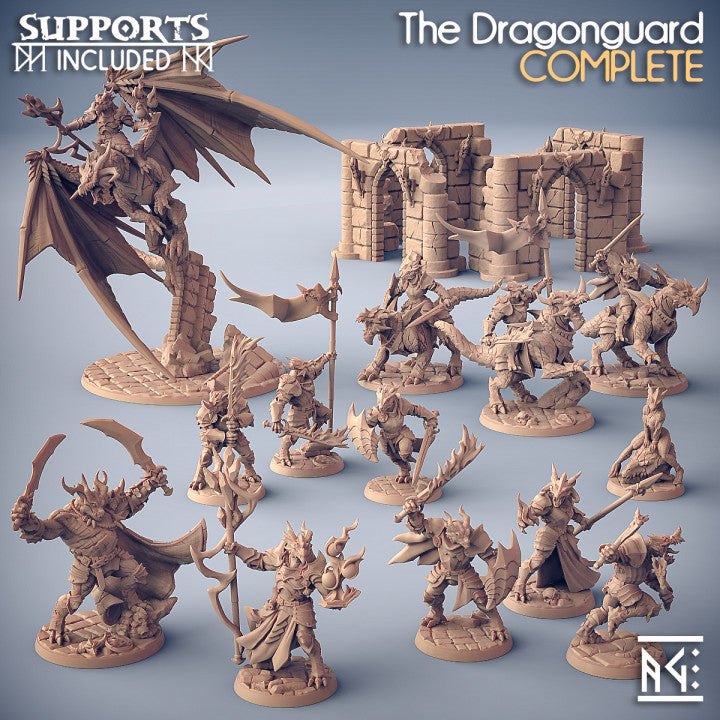 Dragon's Lair Printed Mini: The Dragonguard Set | Odin's Place