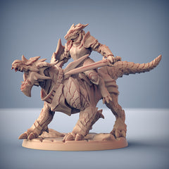 Dragon's Lair Printed Mini: The Dragonguard Set | Odin's Place