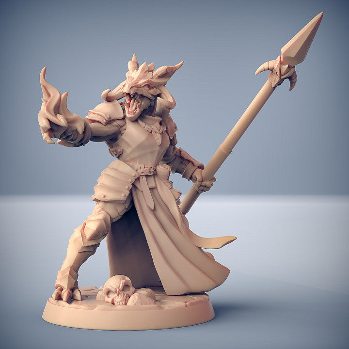 Dragon's Lair Printed Mini: The Dragonguard Set | Odin's Place