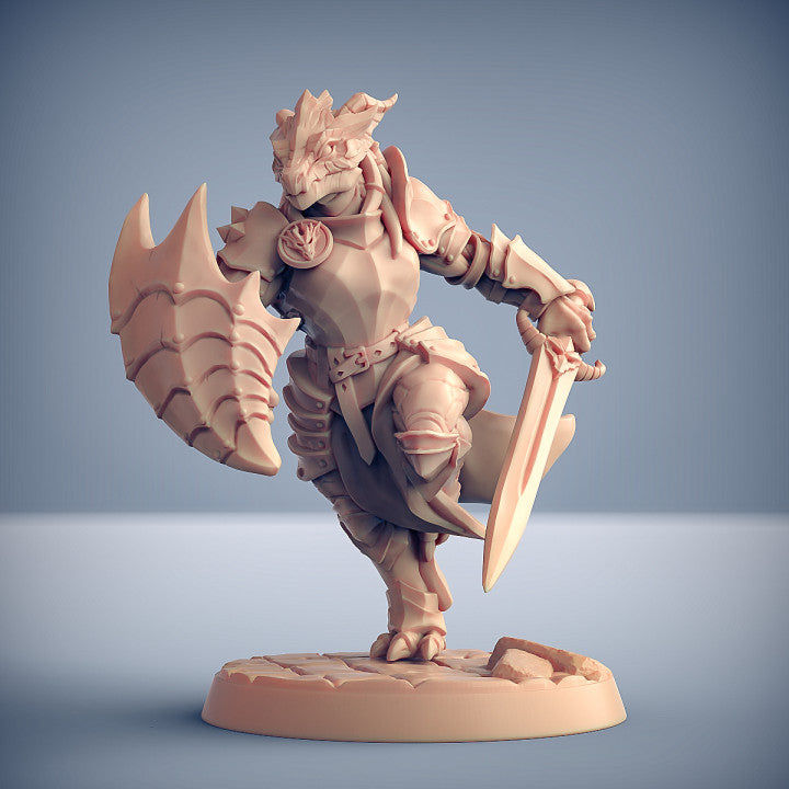 Dragon's Lair Printed Mini: The Dragonguard Set | Odin's Place