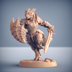 Dragon's Lair Printed Mini: The Dragonguard Set | Odin's Place