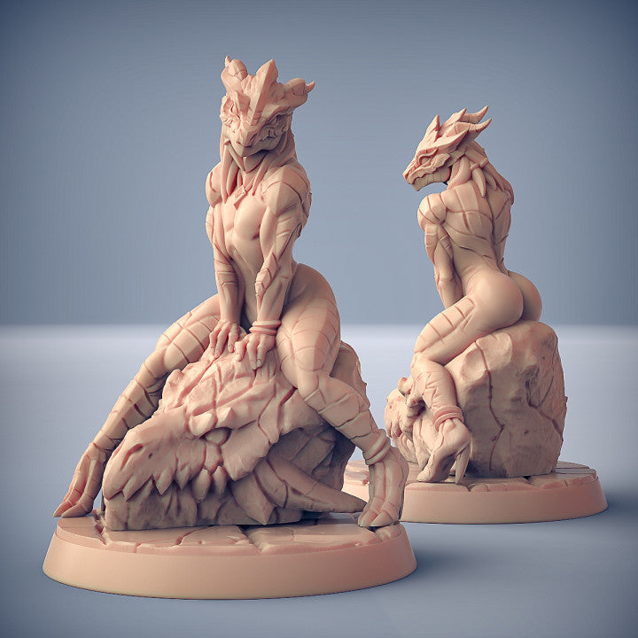Dragon's Lair Printed Mini: The Dragonguard Set | Odin's Place