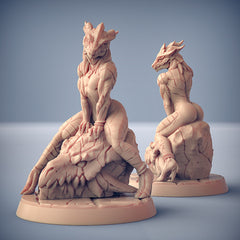 Dragon's Lair Printed Mini: The Dragonguard Set | Odin's Place