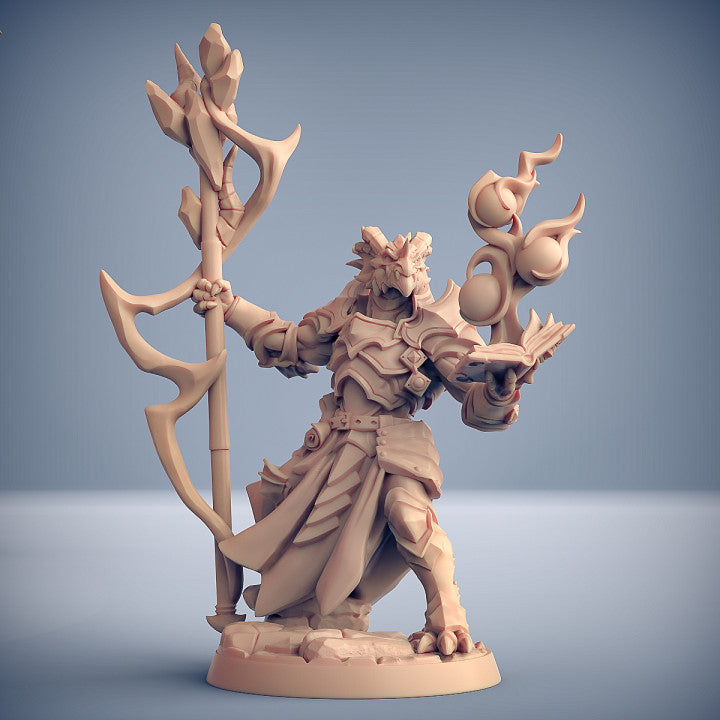 Dragon's Lair Printed Mini: The Dragonguard Set | Odin's Place