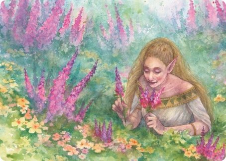 Abundant Harvest Art Card [Modern Horizons 2 Art Series] | Dragon's Lair Comics and Fantasy Houston TX