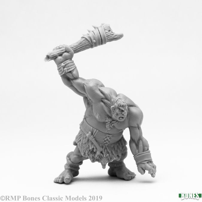 Reaper Bones: Hill Giant Lowland Warrior | Dragon's Lair Comics and Fantasy Houston TX