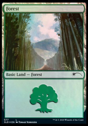 Forest (Walls) (577) [Secret Lair Drop Promos] | Dragon's Lair Comics and Fantasy Houston TX