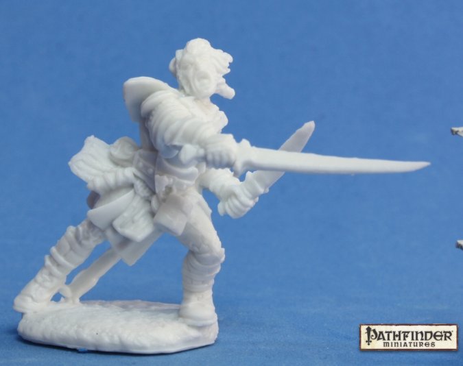 Reaper Bones: Human Fighter, Valeros | Dragon's Lair Comics and Fantasy Houston TX