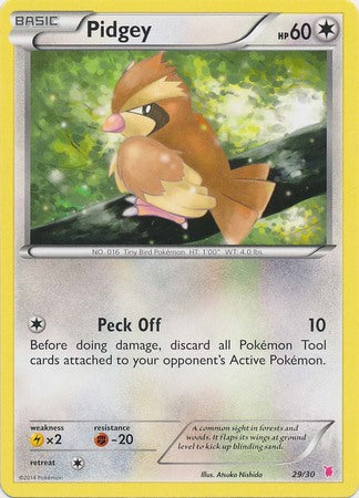 Pidgey (29/30) [XY: Trainer Kit 1 - Wigglytuff] | Dragon's Lair Comics and Fantasy Houston TX