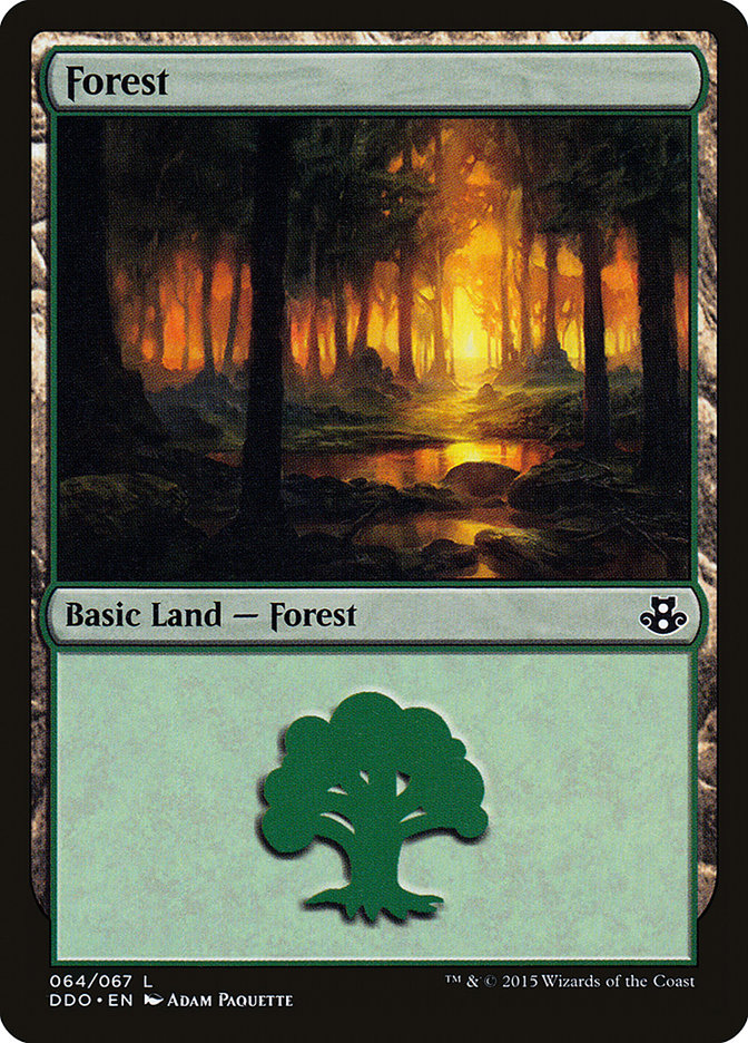 Forest (64) [Duel Decks: Elspeth vs. Kiora] | Dragon's Lair Comics and Fantasy Houston TX