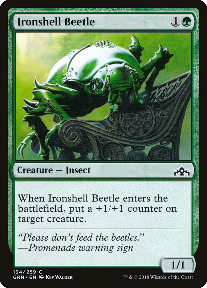 Ironshell Beetle [Guilds of Ravnica] | Dragon's Lair Comics and Fantasy Houston TX