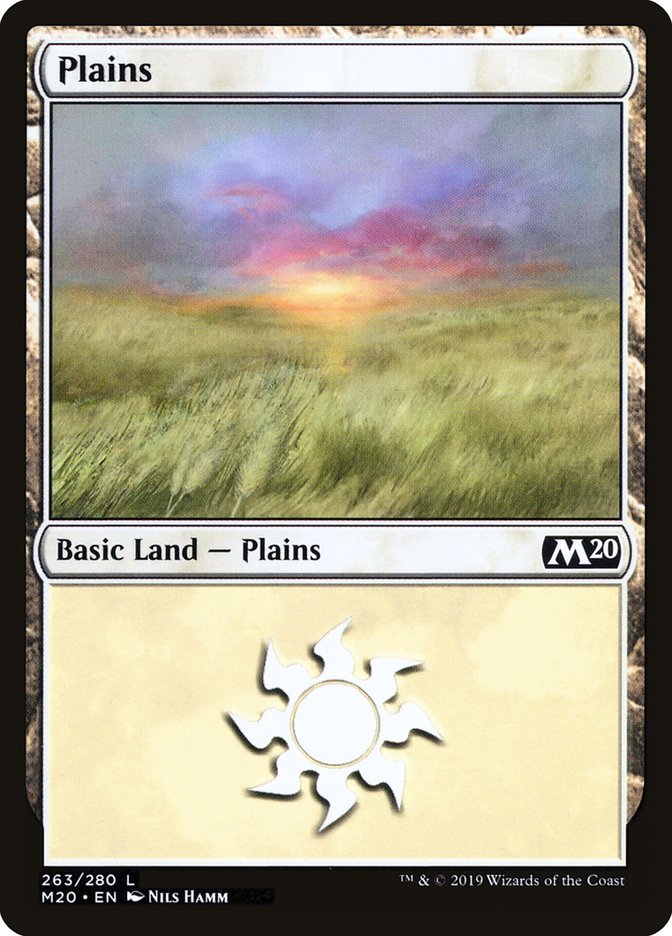 Plains (263) [Core Set 2020] | Dragon's Lair Comics and Fantasy Houston TX