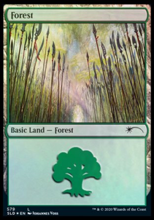 Forest (Elves) (579) [Secret Lair Drop Promos] | Dragon's Lair Comics and Fantasy Houston TX