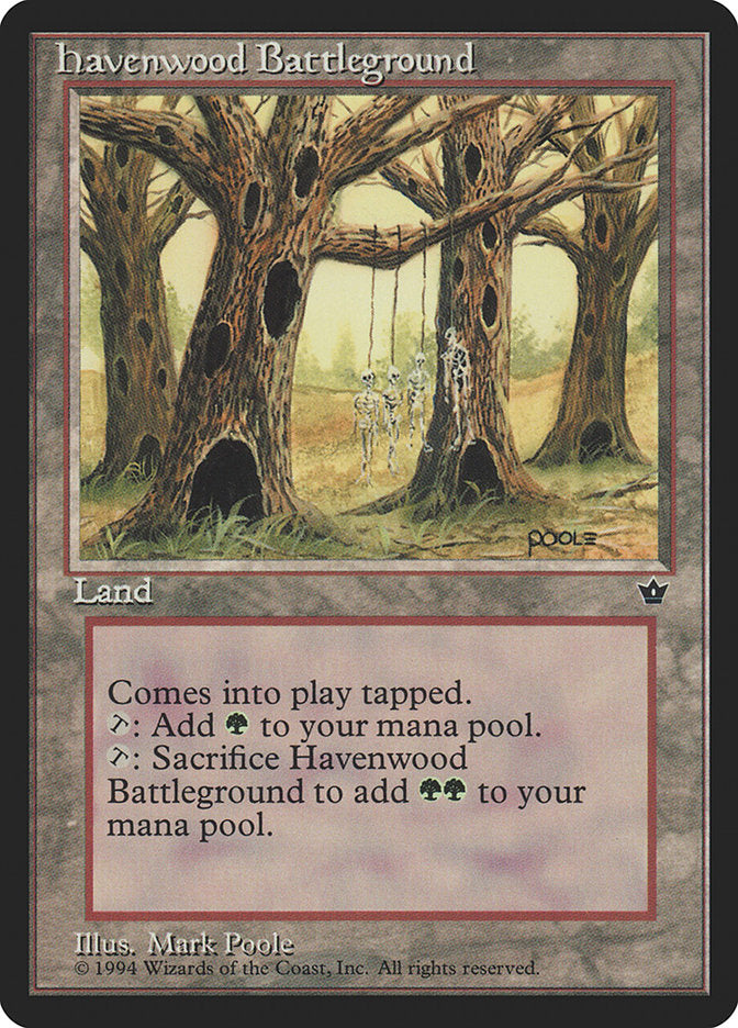Havenwood Battleground [Fallen Empires] | Dragon's Lair Comics and Fantasy Houston TX