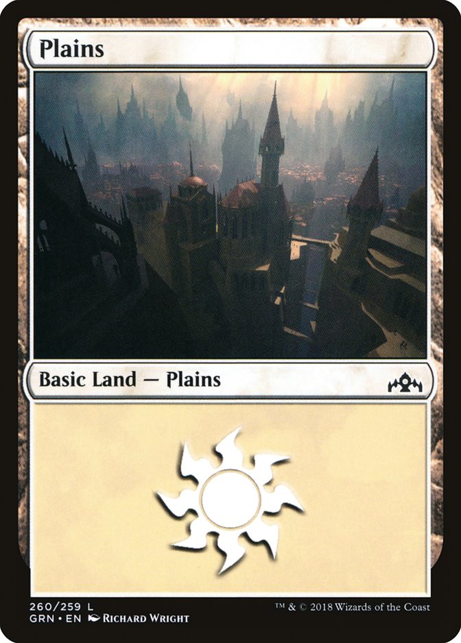 Plains (260) [Guilds of Ravnica] | Dragon's Lair Comics and Fantasy Houston TX