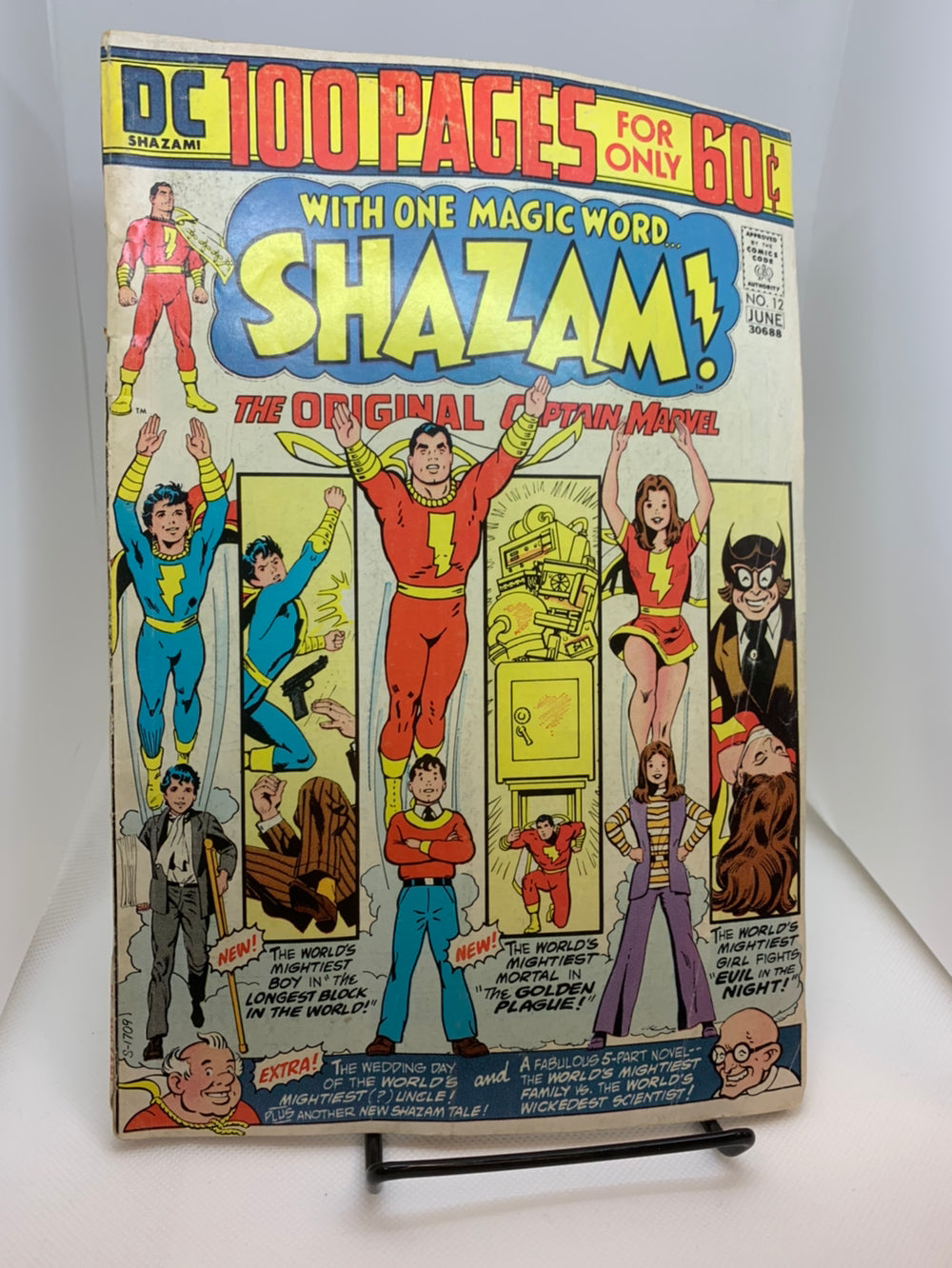 Shazam! #12 | Dragon's Lair Comics and Fantasy Houston TX