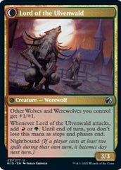 Kessig Naturalist // Lord of the Ulvenwald [Innistrad: Midnight Hunt] | Dragon's Lair Comics and Fantasy Houston TX
