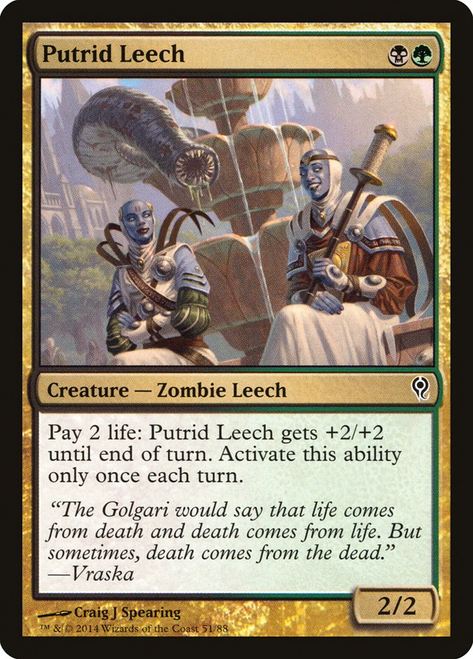 Putrid Leech [Duel Decks: Jace vs. Vraska] | Dragon's Lair Comics and Fantasy Houston TX